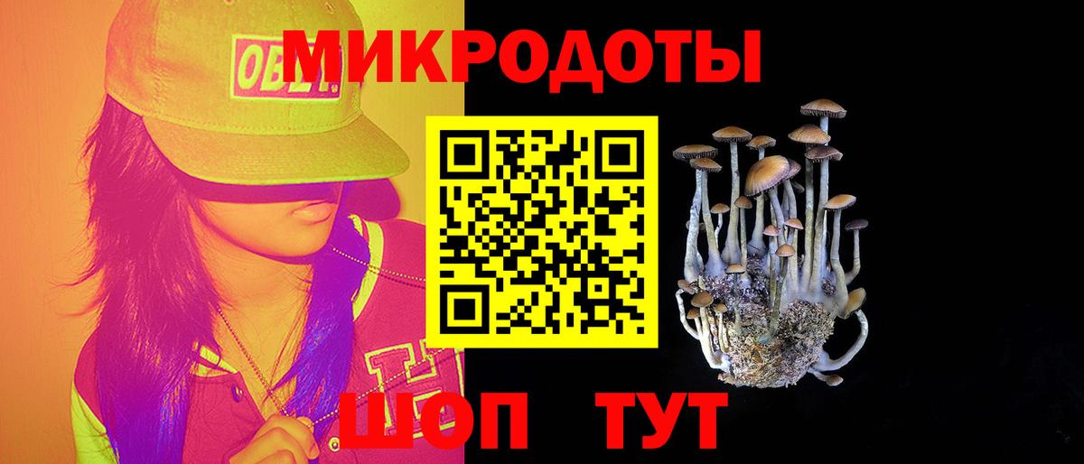 Дербент  Псилоцибиновые грибы мухоморы  Вход с VPN 